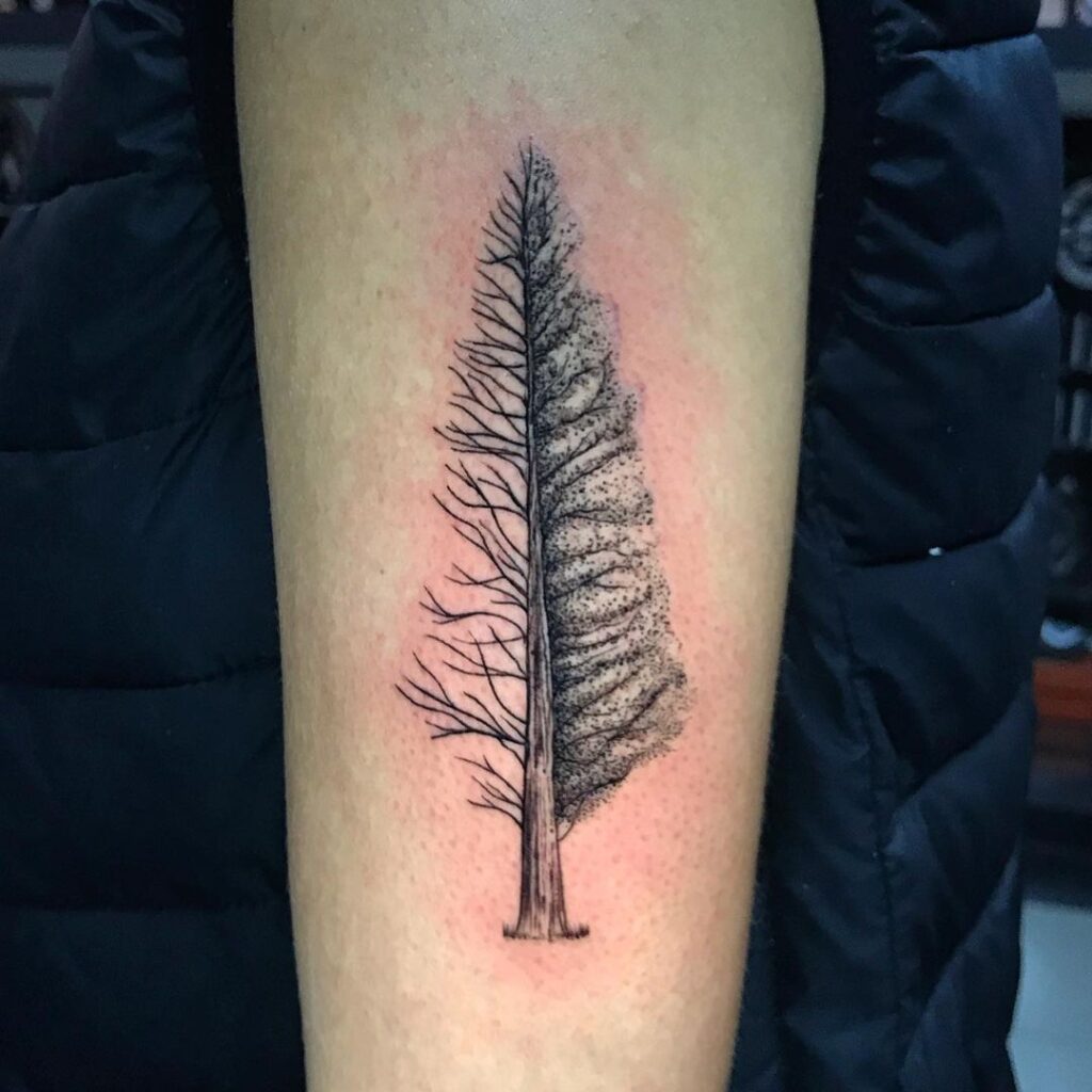 Tatuagem de árvore 90 fotos maravilhosas para se inspirar