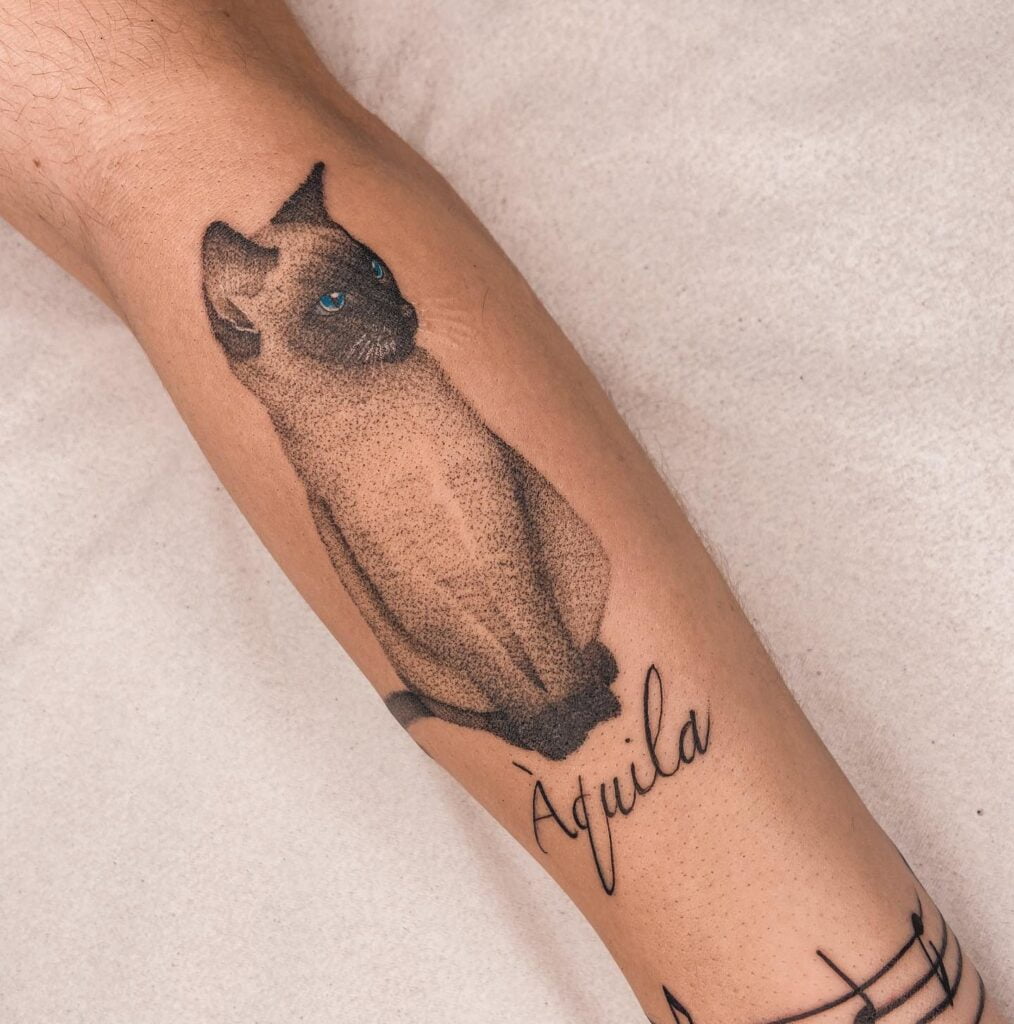 Tatuagem De Gato Ideias Criativas Para Quem Ama Bichanos